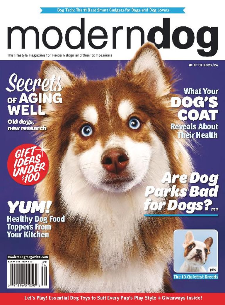 Best Price for Modern Dog Magazine Subscription