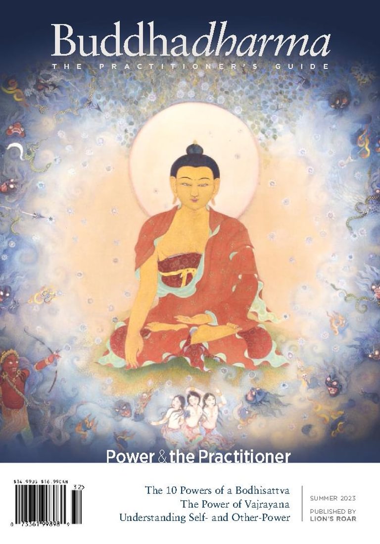 Buddhadharma: The Practitioner's Quarterly Summer 2023 (Digital ...