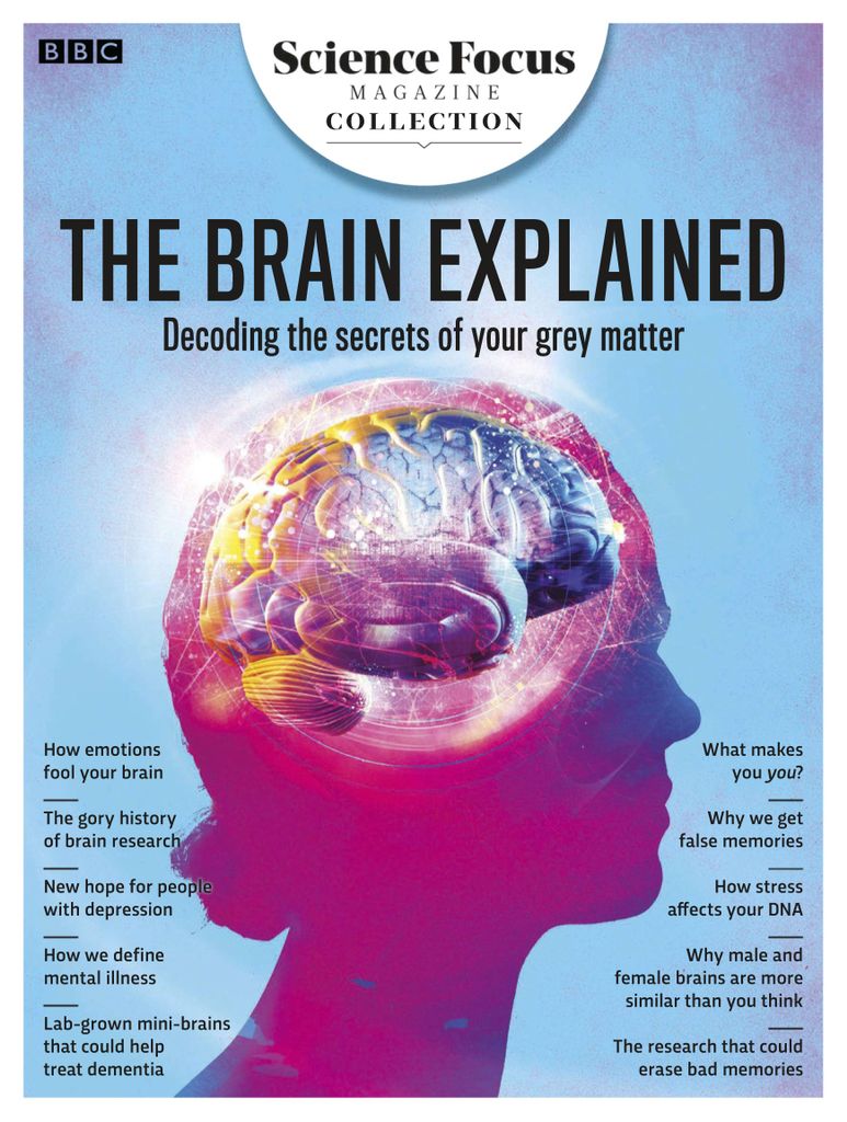The Brain Explained From c Science Focus Magazine Digital Discountmags Com