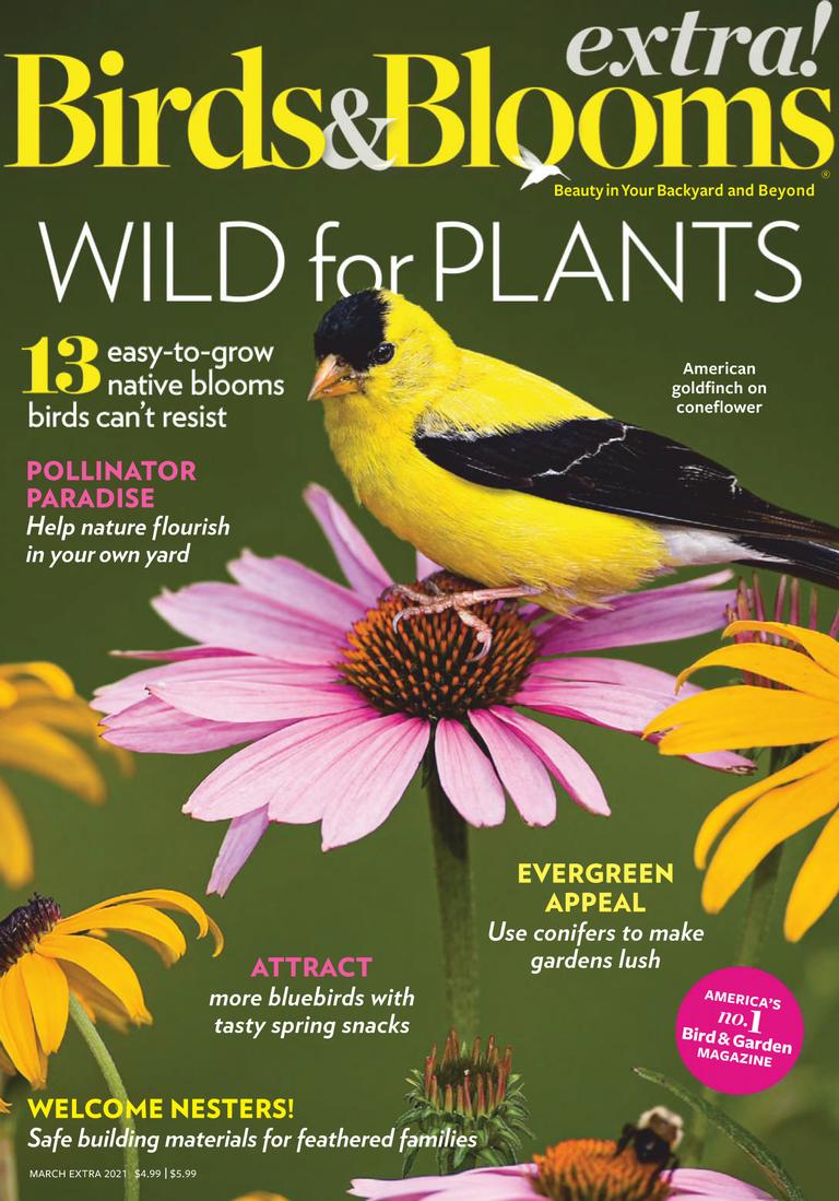 Birds and Blooms Extra March 20 Digital   DiscountMags.com