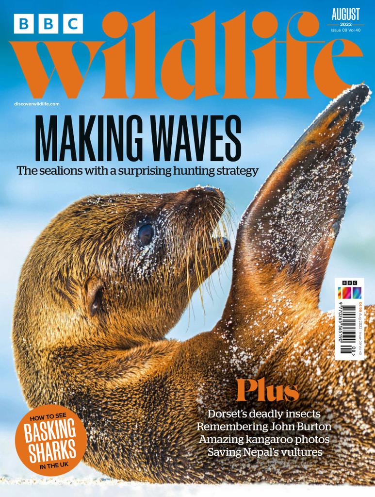 Bbc Wildlife August 2022 (Digital)