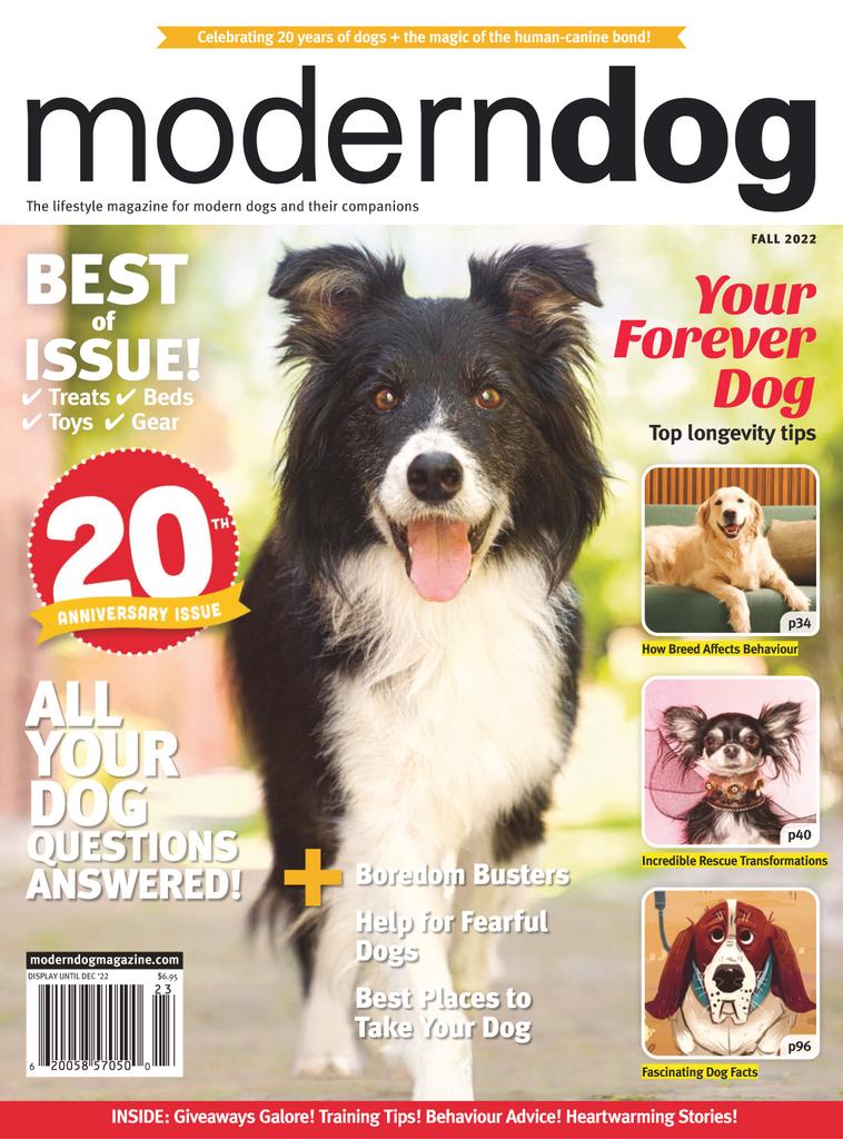 Grimace  Modern Dog magazine