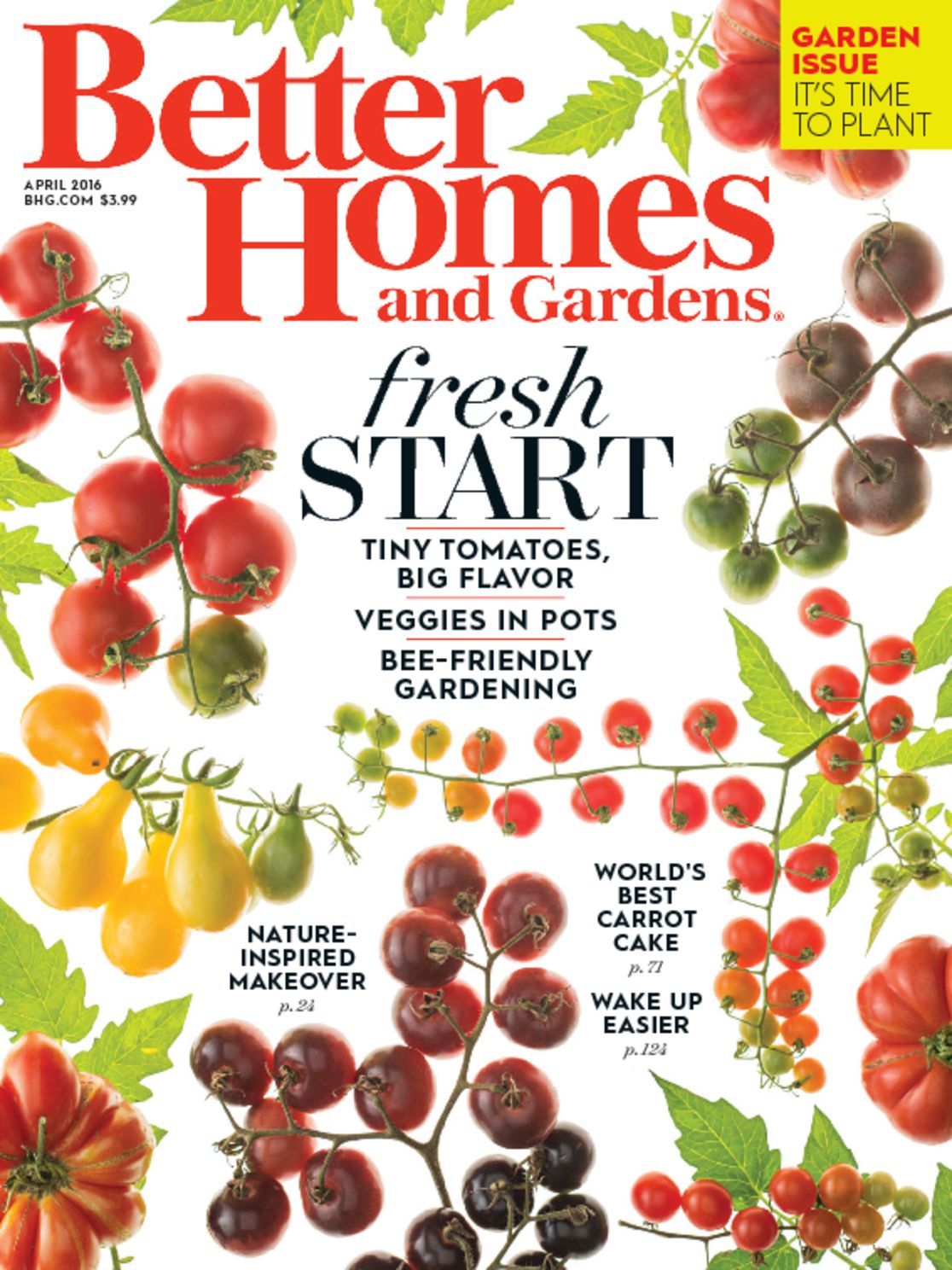 Better Homes & Gardens Magazine - DiscountMags.com