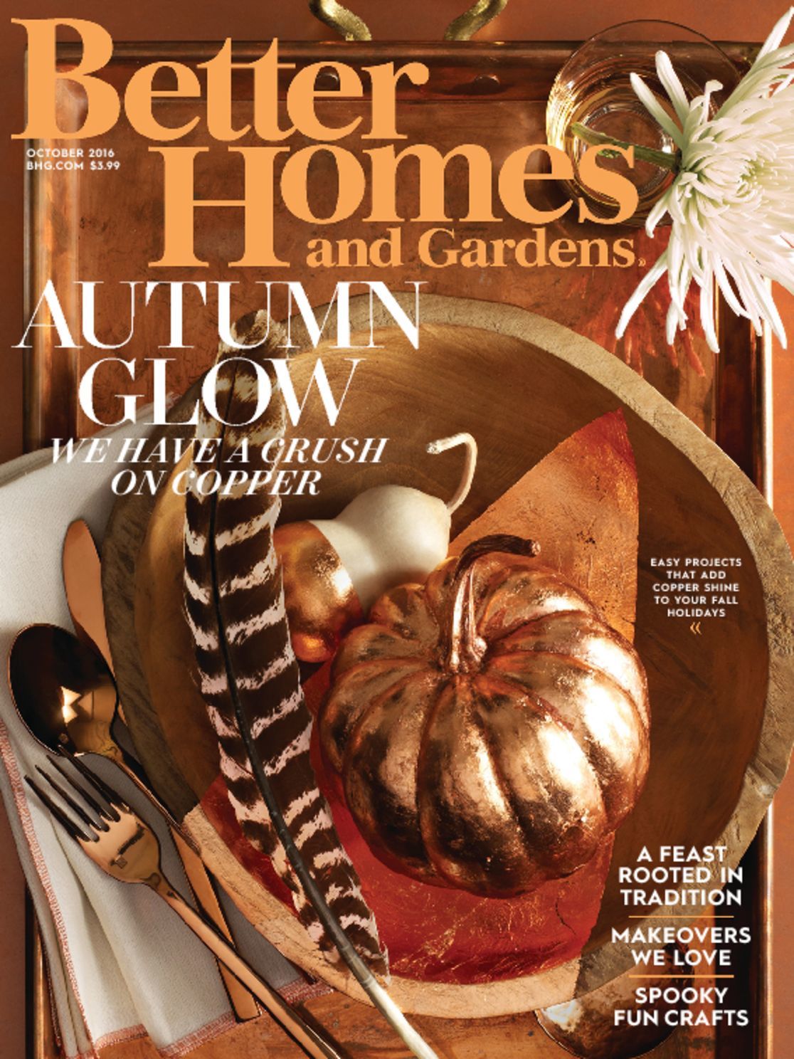 Better Homes & Gardens Magazine - DiscountMags.com
