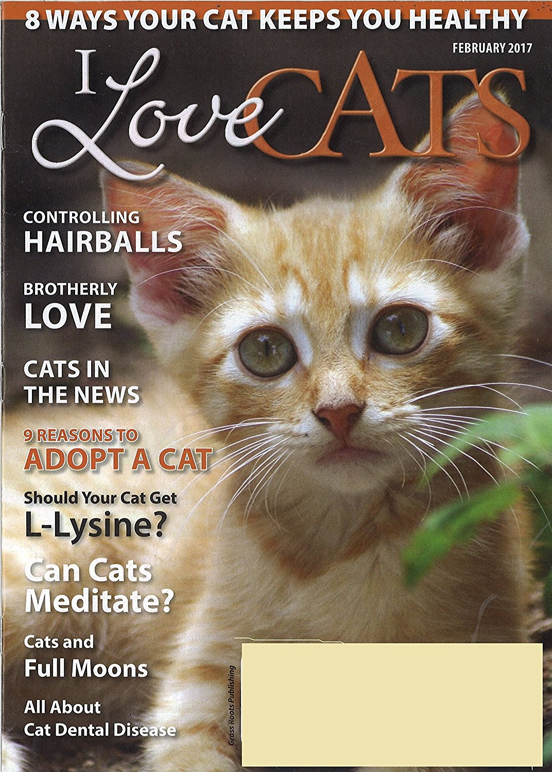 Download I Love Cats Magazine - DiscountMags.com