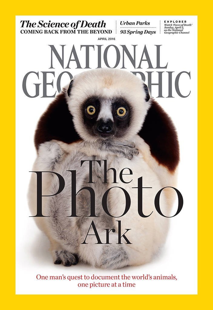Homepage National Geographic