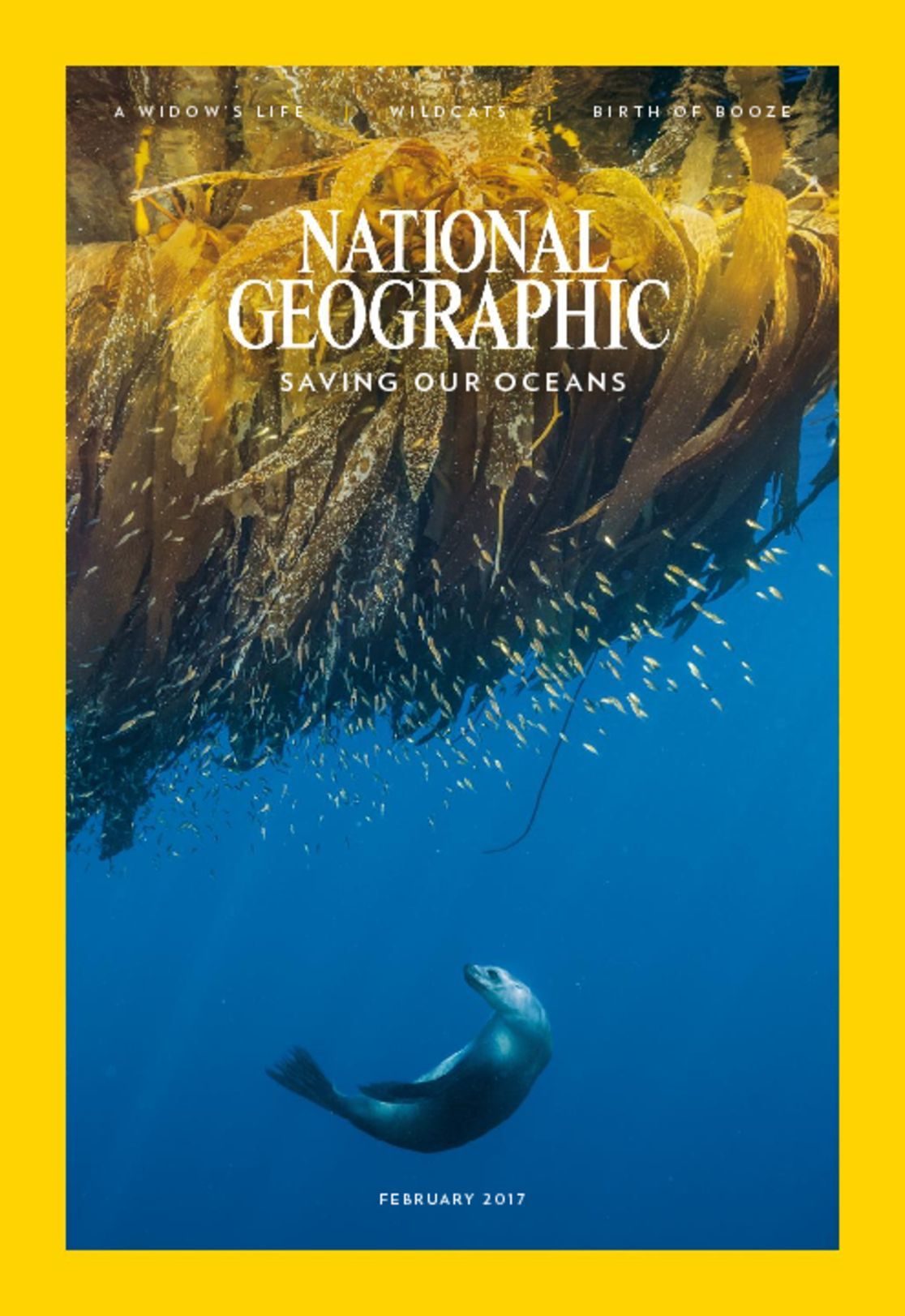 Understanding the Target Audience of National Geographic – Openr
