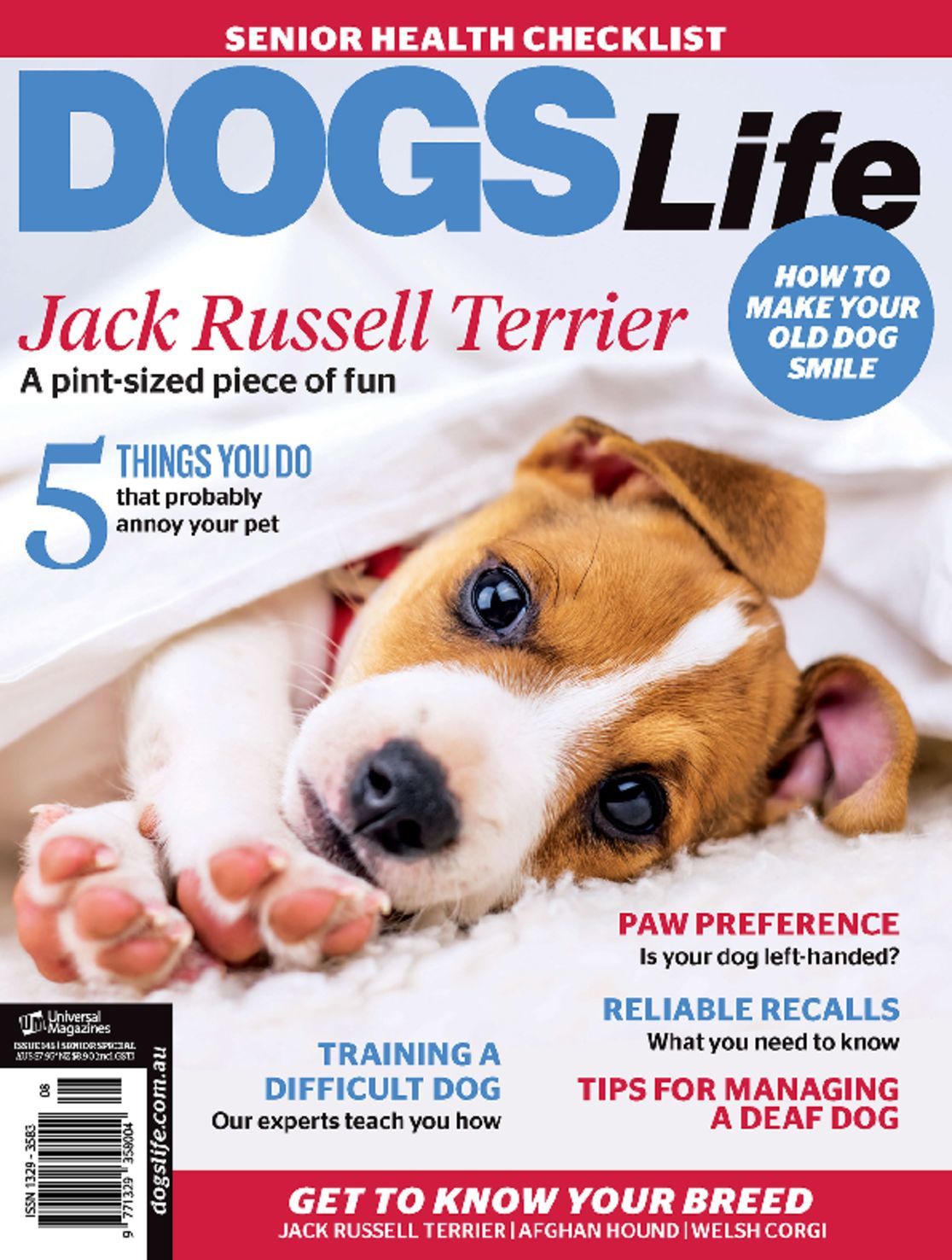 Dogs Life Magazine (Digital)